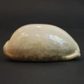 DSC08674.JPG