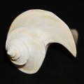 DSC08679.JPG