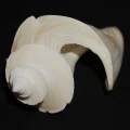 DSC08684.JPG