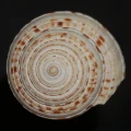 DSC08686.JPG