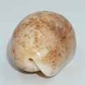 DSC08972.JPG
