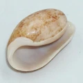 DSC08973.JPG
