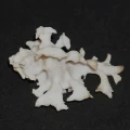 DSC08993.JPG