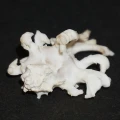 DSC08994.JPG
