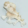 DSC09017.JPG