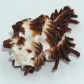 DSC09022.JPG