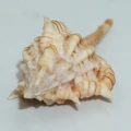 DSC09040.JPG