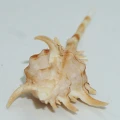 DSC09047.JPG