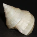 DSC09062.JPG