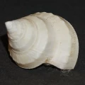 DSC09059.JPG
