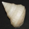 DSC09060.JPG