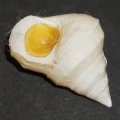 DSC09063.JPG