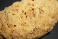 DSC09079.JPG
