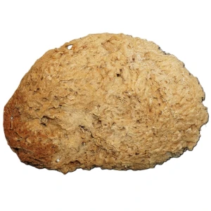 Naturalna gąbka wełnista z Filipin XXL1