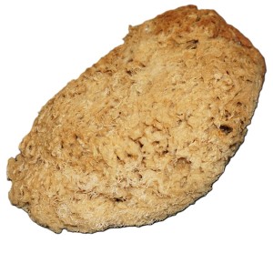 Naturalna gąbka wełnista z Filipin XXL1