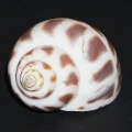 DSC09087.JPG