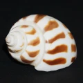 DSC09089.JPG