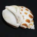 DSC09090.JPG