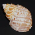 DSC09101.JPG