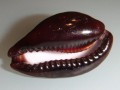 DSCF0108.JPG
