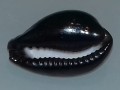 20201029_170529.jpg