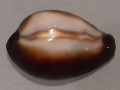 20201029_170454.jpg