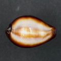 DSC07873.JPG