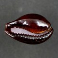 DSC07874.JPG