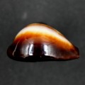 DSC07876.JPG