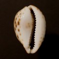 DSC08288.JPG